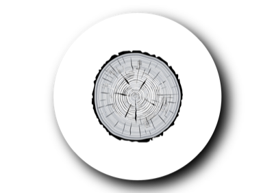 CoachLanding logo